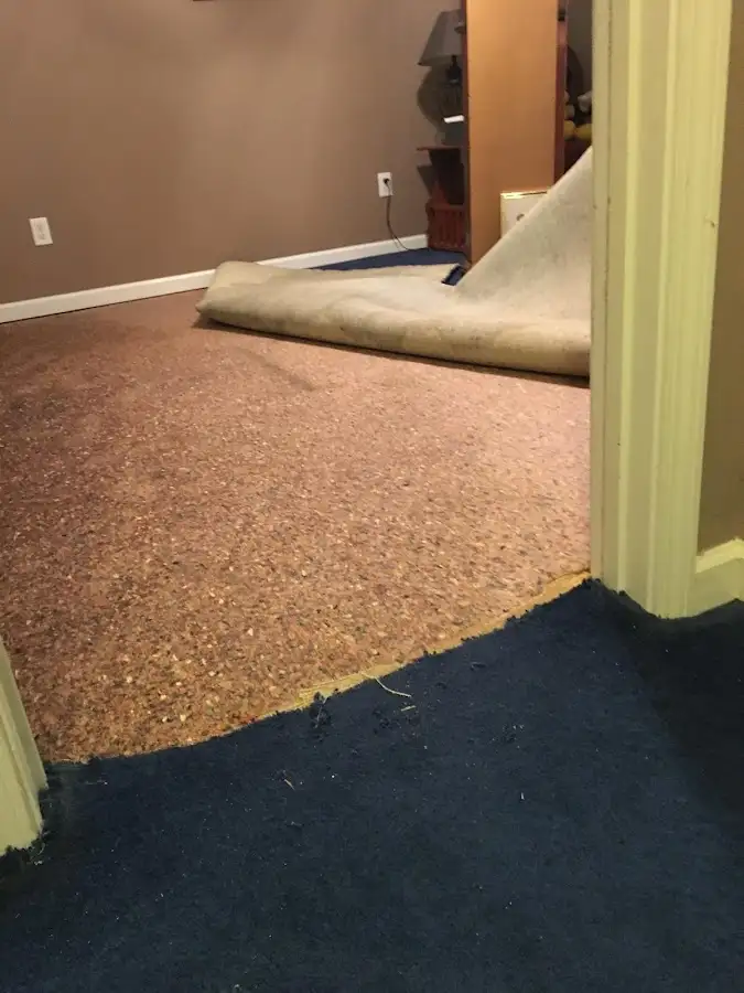 Carpet pad removal revealing water damage during Drying & Dehumidification in Boone